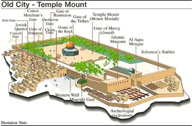 Old City • Temple Mount.webp
