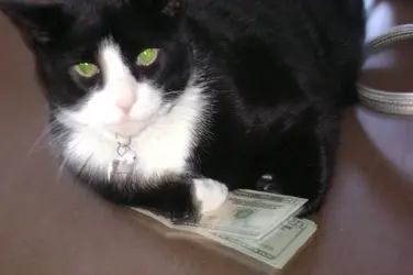 $032.webp