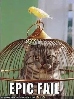 $funny-pictures-bird-cat-cage.webp