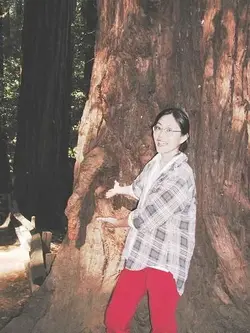 $TreeWithED.webp