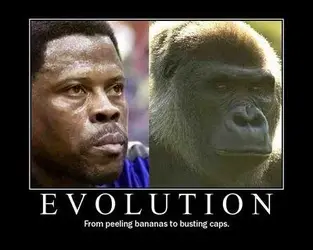 $evolution.webp