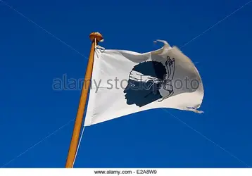 france-corse-du-sud-golfe-de-porto-corsican-flag-with-the-moors-head-e2a8w9.webp