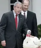 Screen Shot 2022-11-21 at 4.17.52 PM.webp