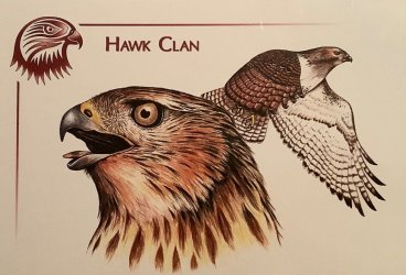 R-skye-Hawk-Clan-5.jpg