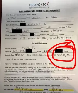 hunter biden background check.jpg