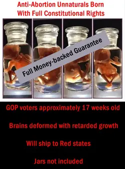 fetus 17 jars gop voters 1.webp