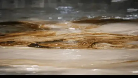 Screen Shot 2023-02-21 at 1.09.20 PM.webp