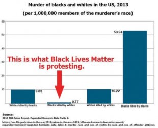2013-murder-by-race-chart-1-600x485.jpg