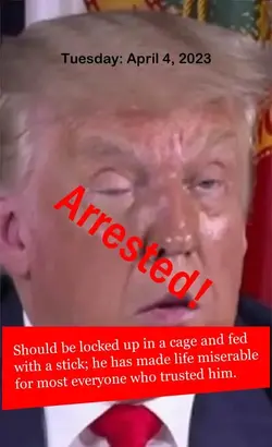 arrested dopey don arrested.webp