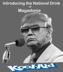 magadonia koolaid.webp