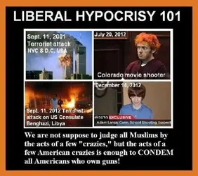 Liberal Hypocrisy1.webp