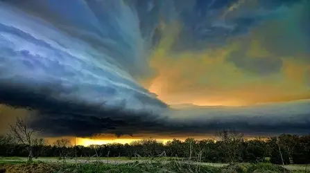 wall cloud.webp