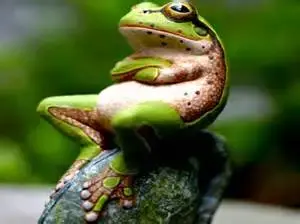 th (4).webp th (4).webp