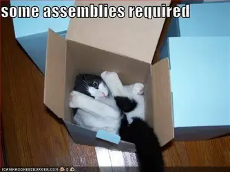 $pets1.webp
