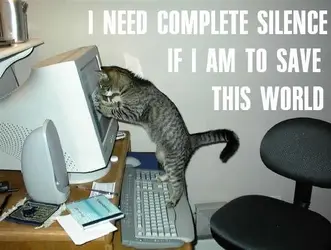 $cat-save.webp