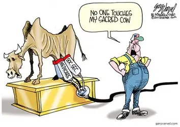 $sacred cow.webp
