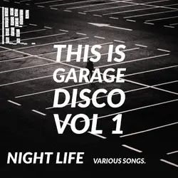 this is garage disco vol 1.webp