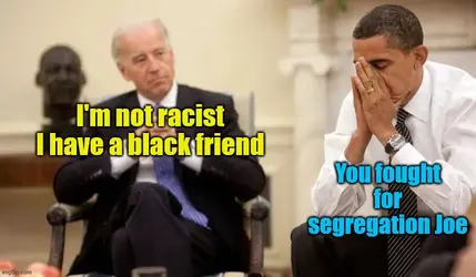 bidenracisthjjnfdhgdjyfh.webp