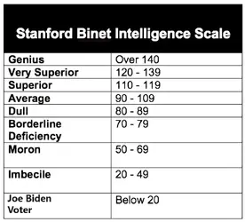 Bidenet.webp Bidenet.webp