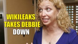 Debbie-Wasserman-Schultz-DNC-Leak-01.jpg