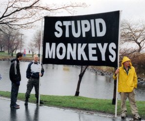 stupid monkeys.jpg