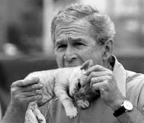 $george-bush-eats-a-kitten.jpg