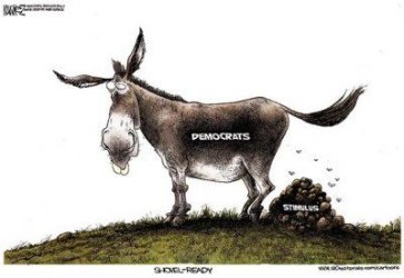 $donkey stimulus.jpg
