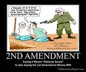 $2ndamendment.webp