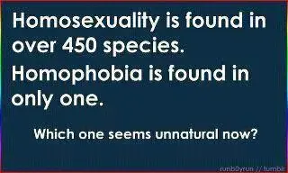 $homphobia.webp