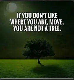 Screenshot_20230719-170436_Samsung Internet.webp