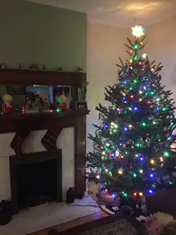 IMG_1396.webp IMG_1396.webp