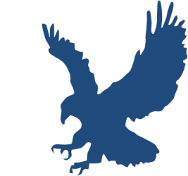 blue-eagle-hi.png