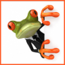 Frog_Jamas