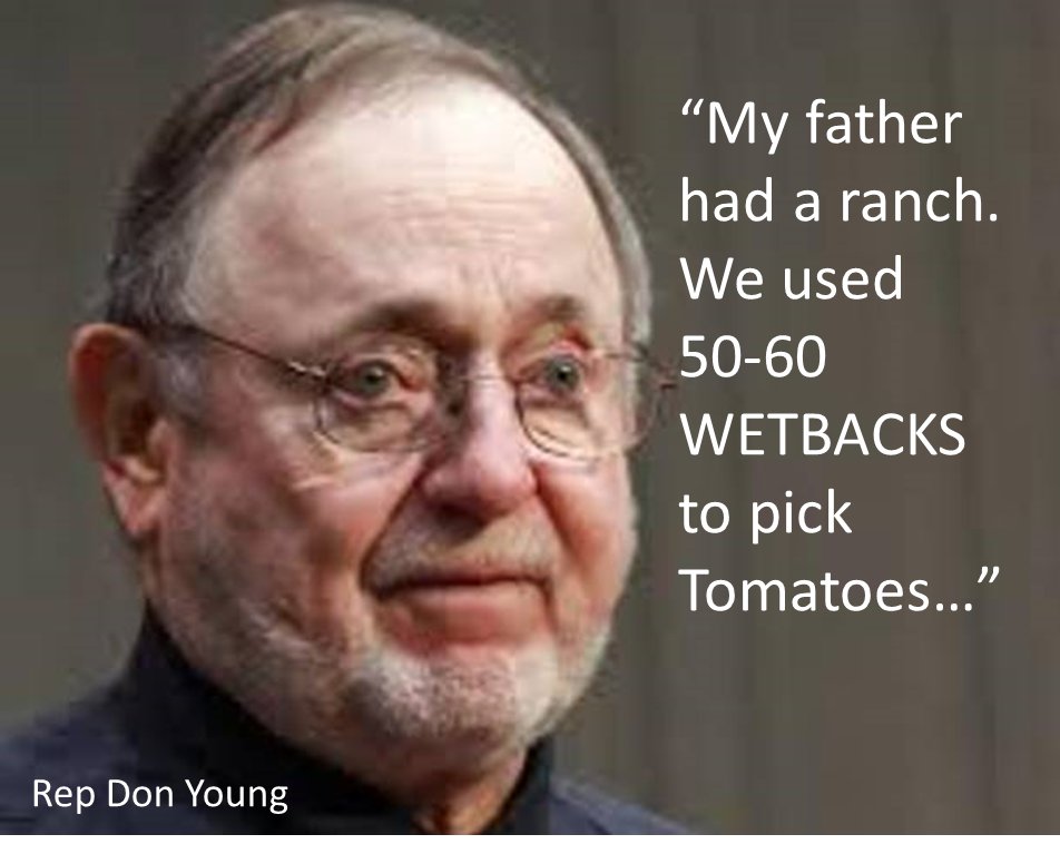 dan+young.jpg