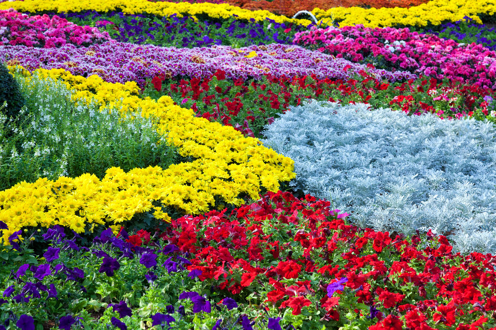 1-colorful-garden.jpg