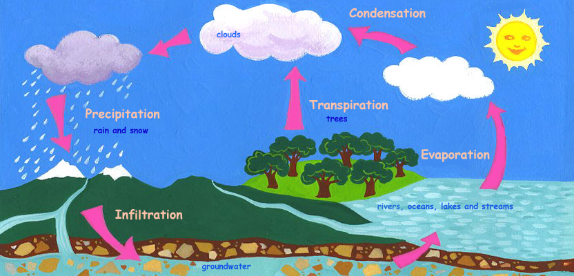 watercycle-f.jpg