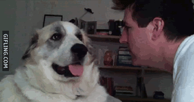 dog-slapped-man.gif