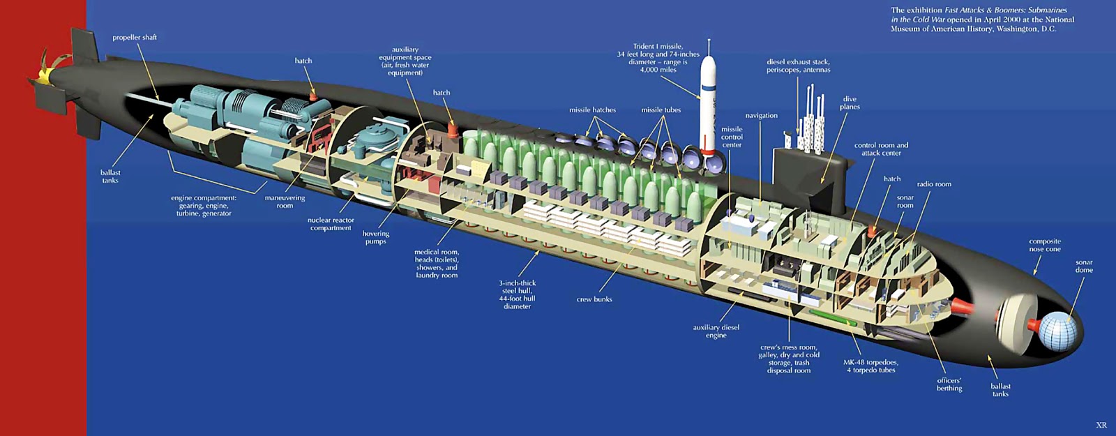 cutaway2.jpg