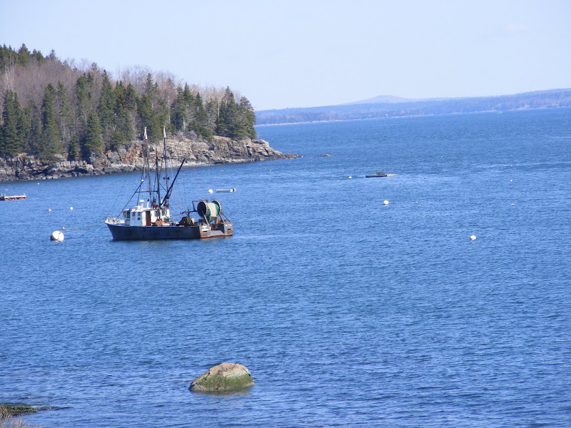 DSCF0212.jpg