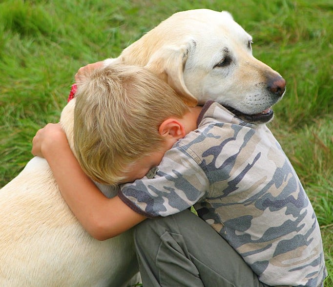 what-a-hug-can-do.jpg