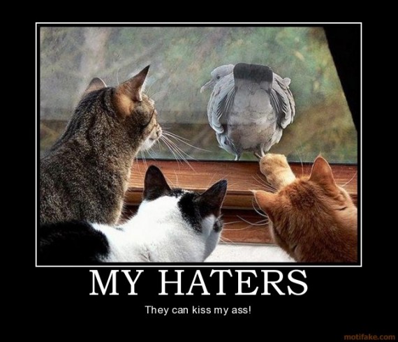 haters-570x490.jpg