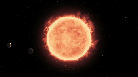 terrestrial.gif
