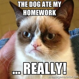 cat2_med.jpeg