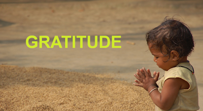gratitude.png