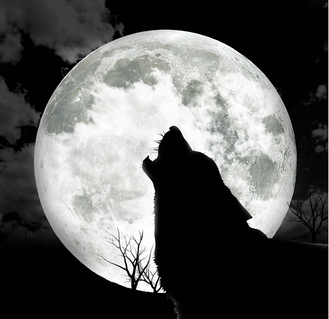 Full-Moon.jpg