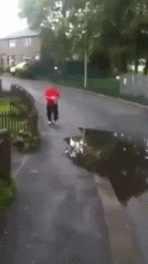 1D5jnRo.gif