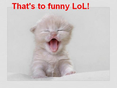 too-funny-lol-cat.jpg