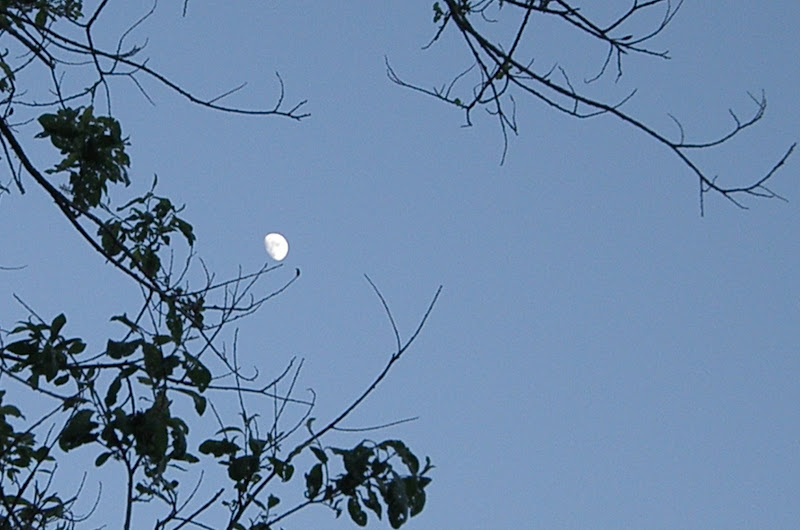 P6022558.JPG