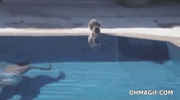 tumblr_mqz308QwTI1sounbzo1_r1_400.gif