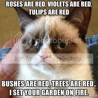 gardenfire_zps2da012b0.jpg